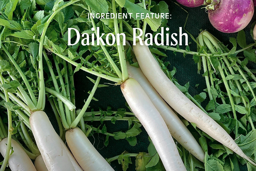 Daikon Radish: A smooth operator